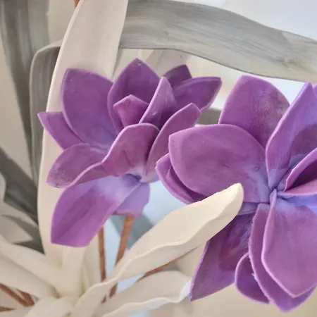 D'hotes Les Nympheas Penzion 4*